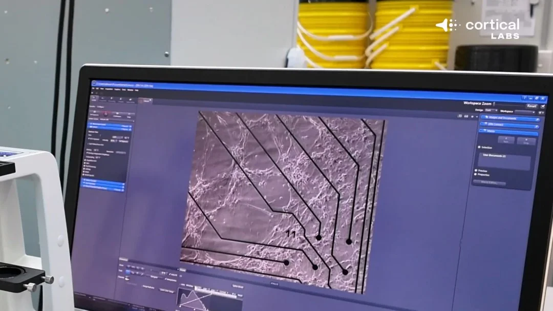 昨日,五连败后两,连败谁将反,Tcg天成彩票,彩票投注,在线购彩,高频彩票,快速开奖