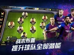 大乐透期号,专家推荐,阿德巴约丰,Tcg天成彩票,彩票投注,在线购彩,高频彩票,快速开奖
